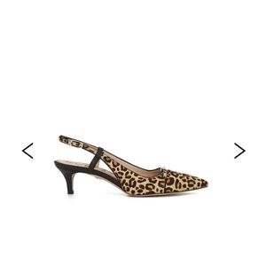 Sam Edelman Animal Print  Kitten Heels